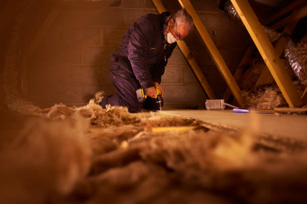 Best DIY Insulation Kits and Guidance in Rhinelander, WI